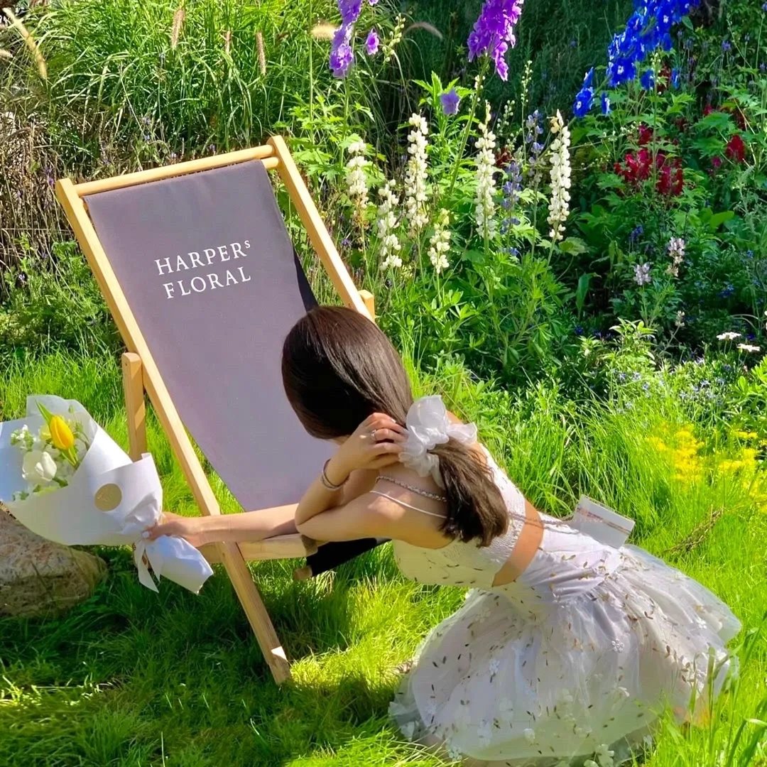 来自风平浪静的明天